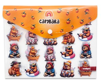 Папка с кнопкой А-5 DL-238 "Капибара" INTELLIGENT 24х19см, пластик, прозрачная с рисунком