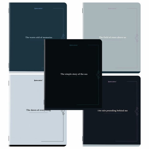 Тетрадь А5, 48 л., BRAUBERG, скоба, клетка, SoftTouch, "Vintage", (микс в спайке), 405328