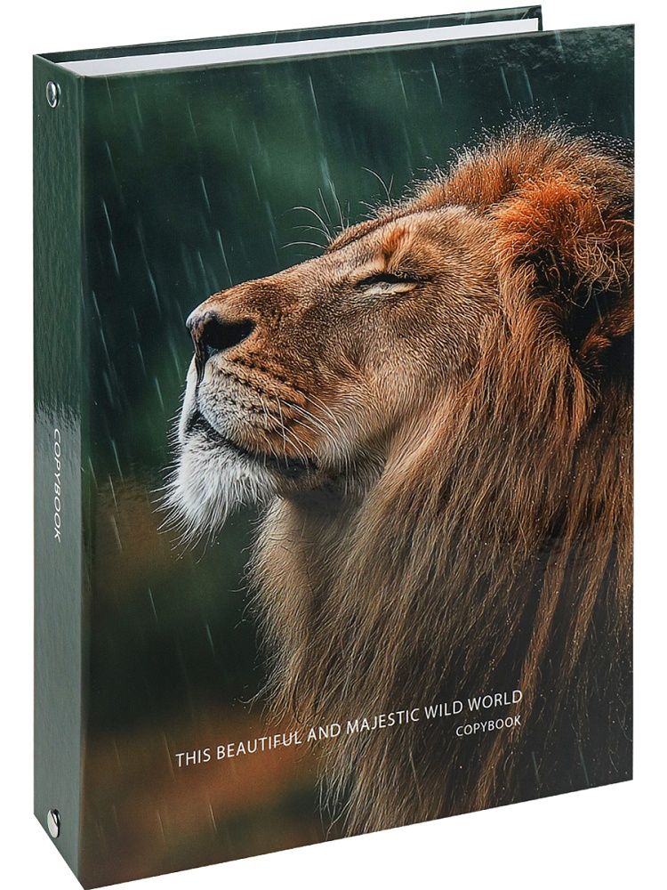 Тетрадь А5 100л кл. на кольцах Проф-Пресс "Лев под дождём"