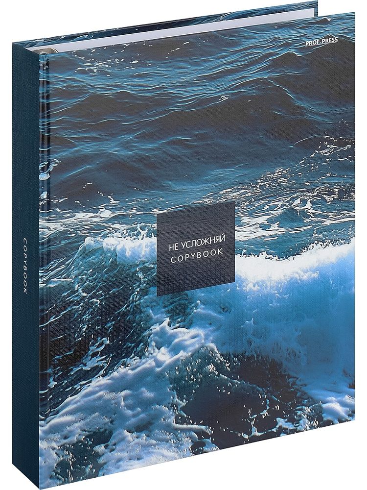 Тетрадь А5 80л кл. на кольцах Проф-Пресс "Красивый мост" глянц.лам., лен