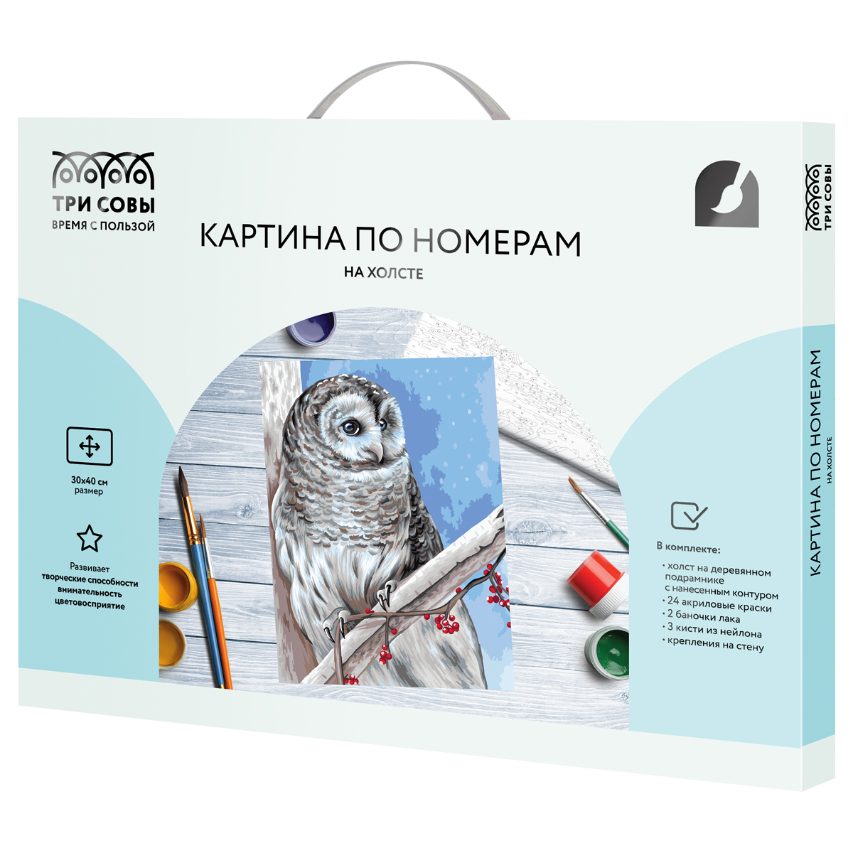 Картина по номерам на холсте ТРИ СОВЫ "Белая сова", 30*40