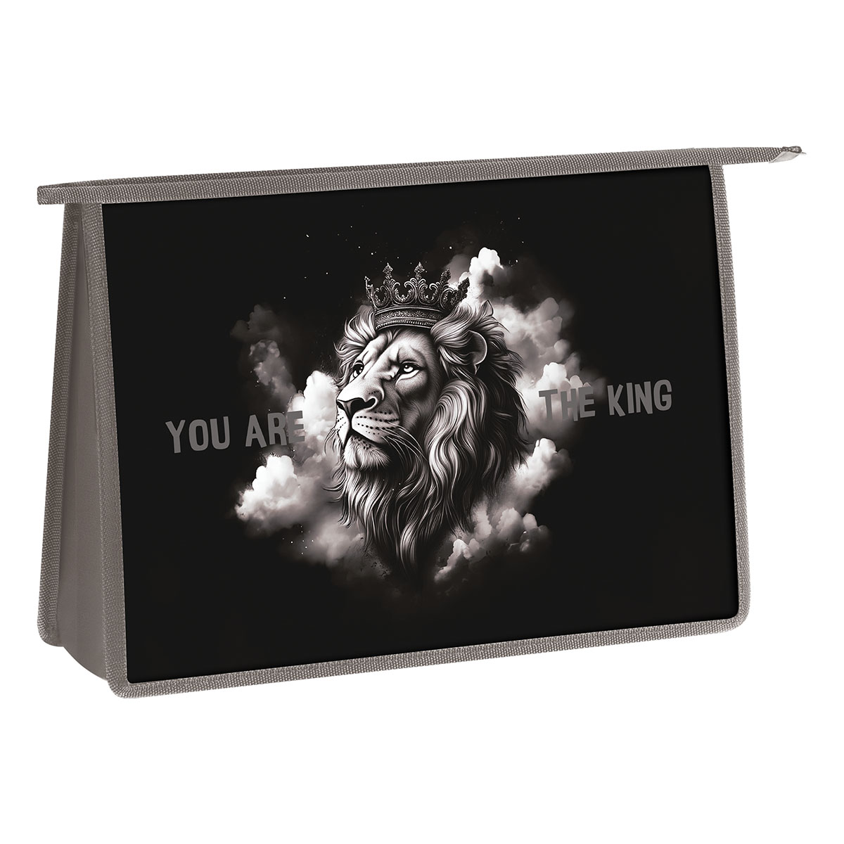 Папка для труда 2 отделения, А4, ArtSpace "King", пластик, на молнии