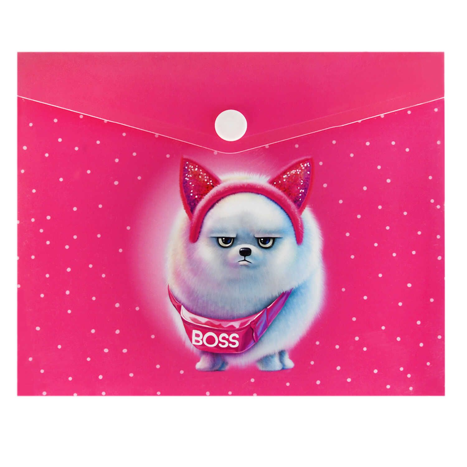 Конверт на кнопке с рисунком А6 (170*140мм) "Босс шпиц"