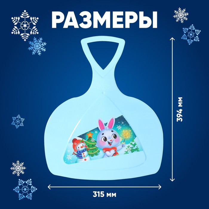 Ледянка  "Новогодний заяц " 9093710