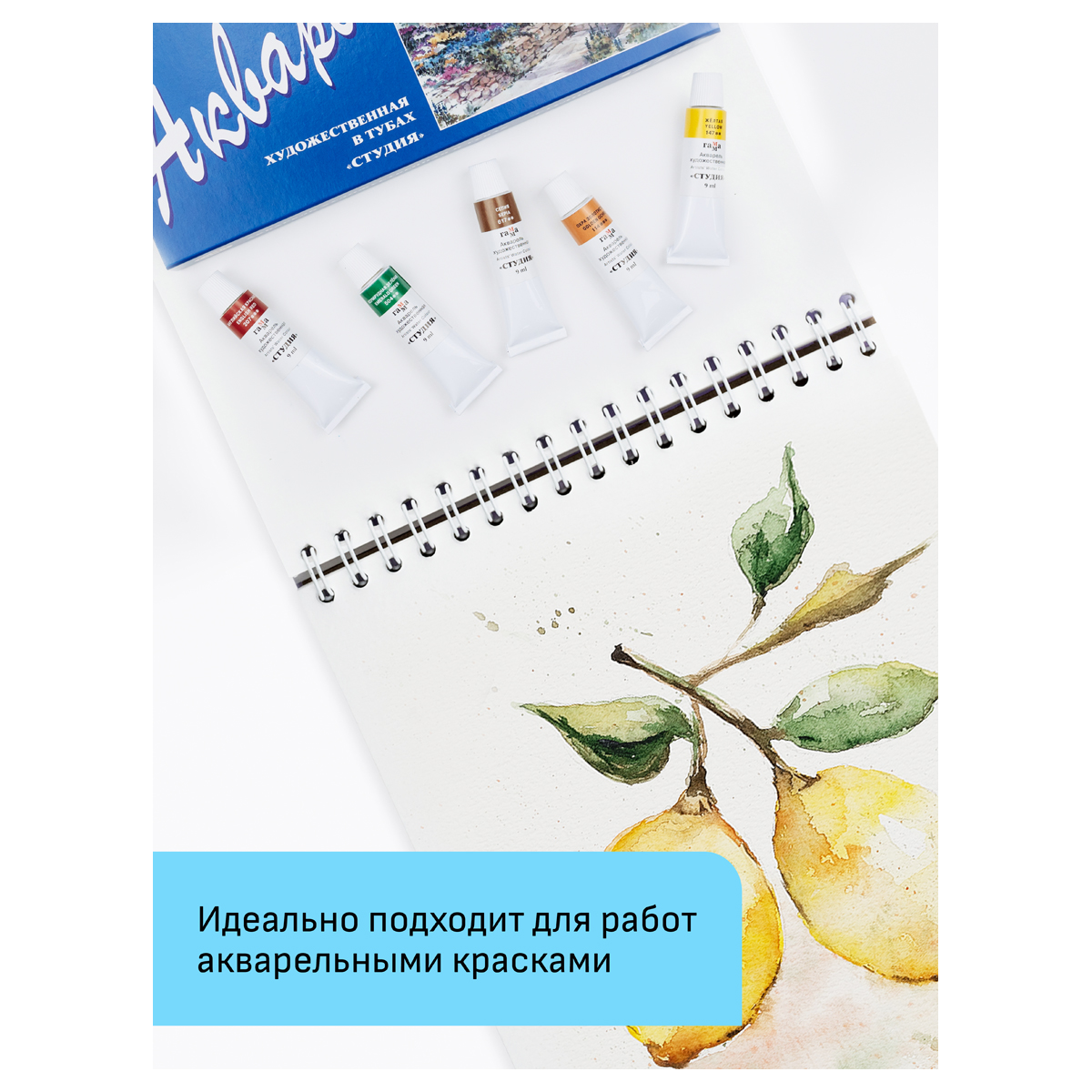 Альбом для акварели, 24л., А4, на спирали Гамма "Студия", 200г/м2, среднее зерно, перфорация на отры