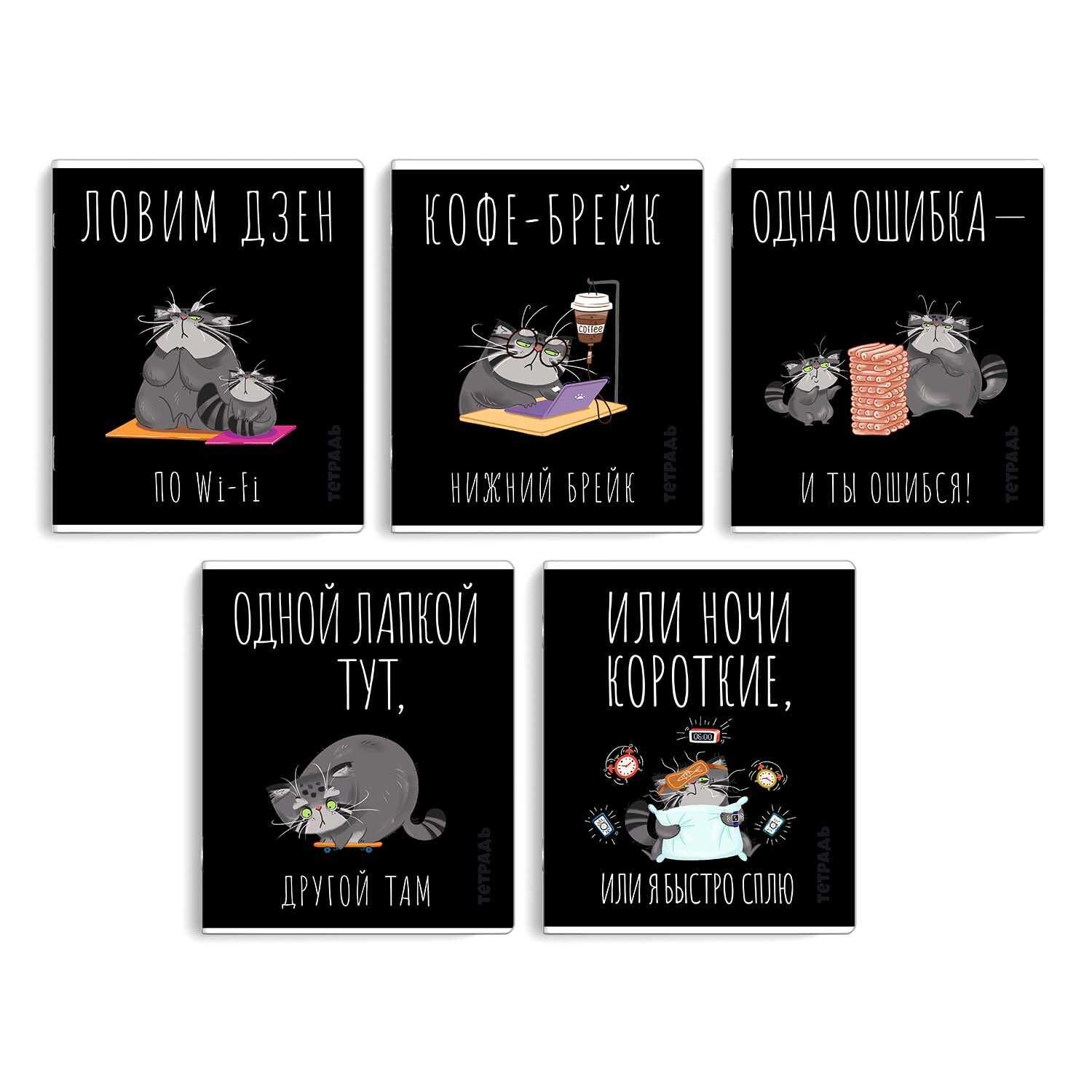 Тетрадь А5 48л кл. Феникс+ "Серый кот" выб.твин-лак, бел.100% Феникс+