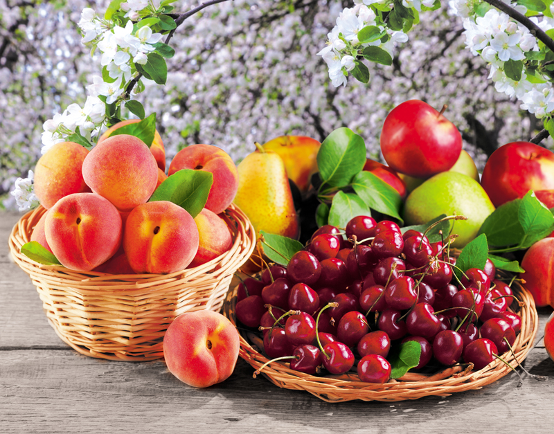 Календарь Трио 295*720мм на 2026г. Дары природы