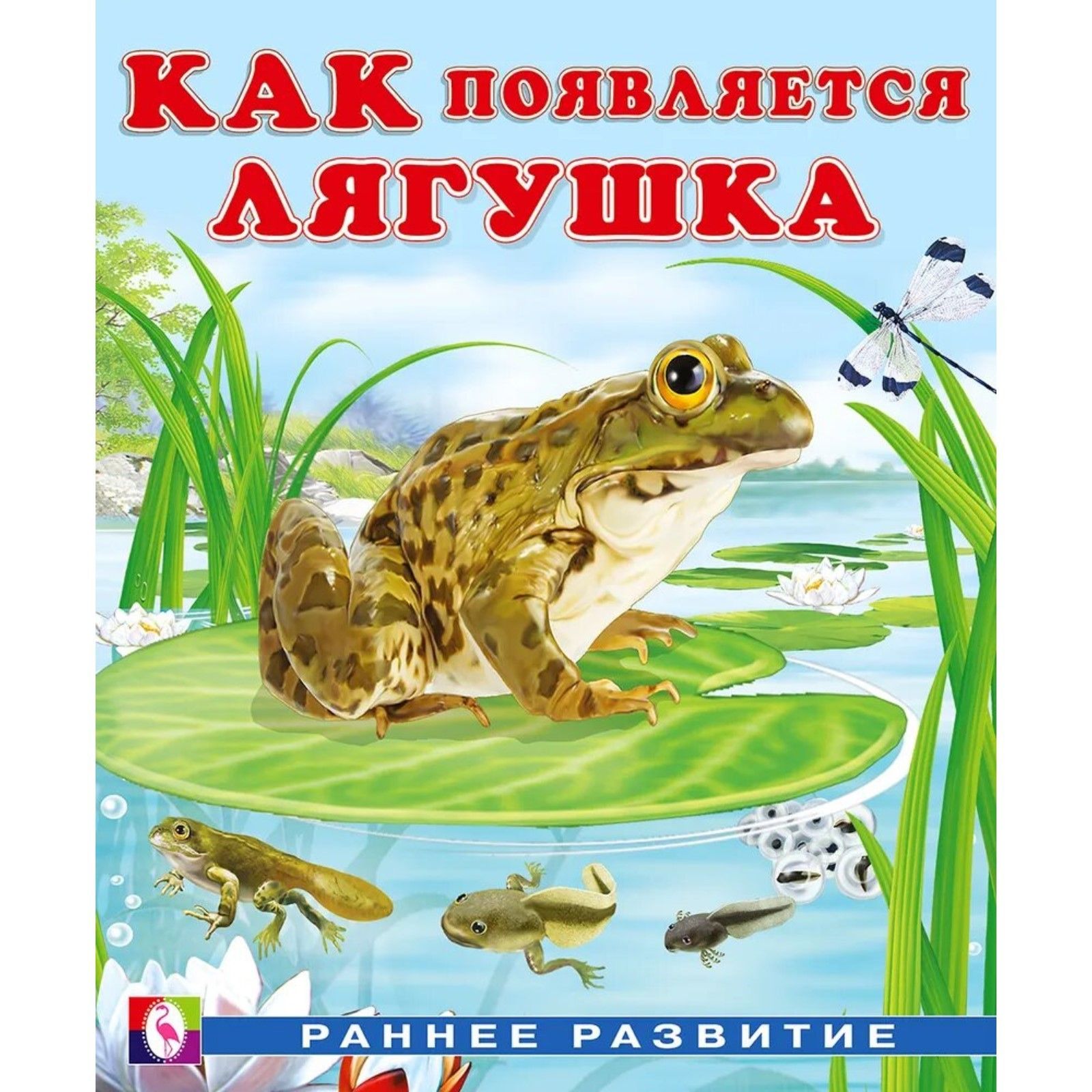 Книги лягушка. Книги про лягушек для детей. Лягушка с книгой. Гурина как появляется лягушка. Лягушка с книжкой для детей.