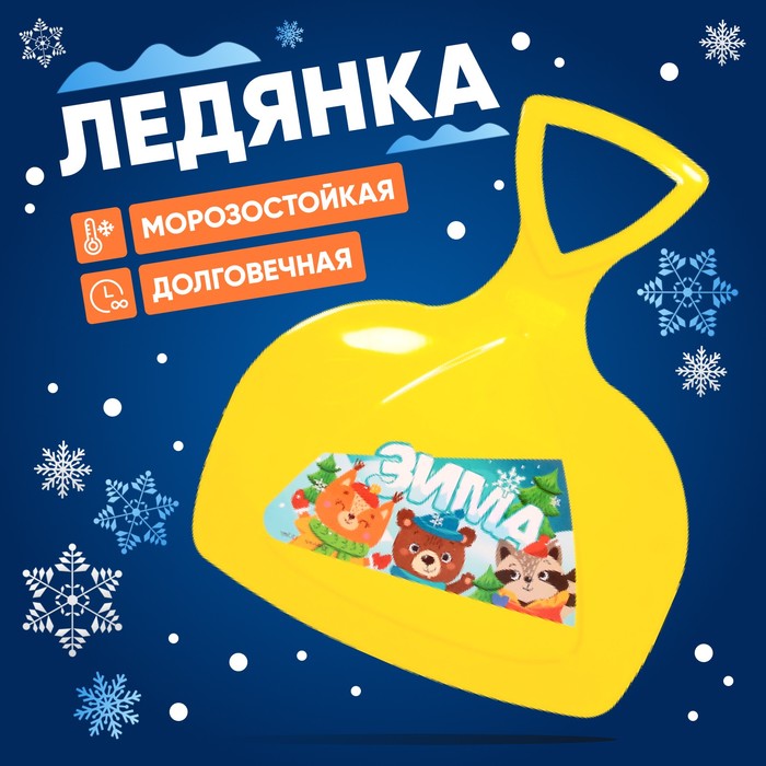 Ледянка "Зима" 9093712
