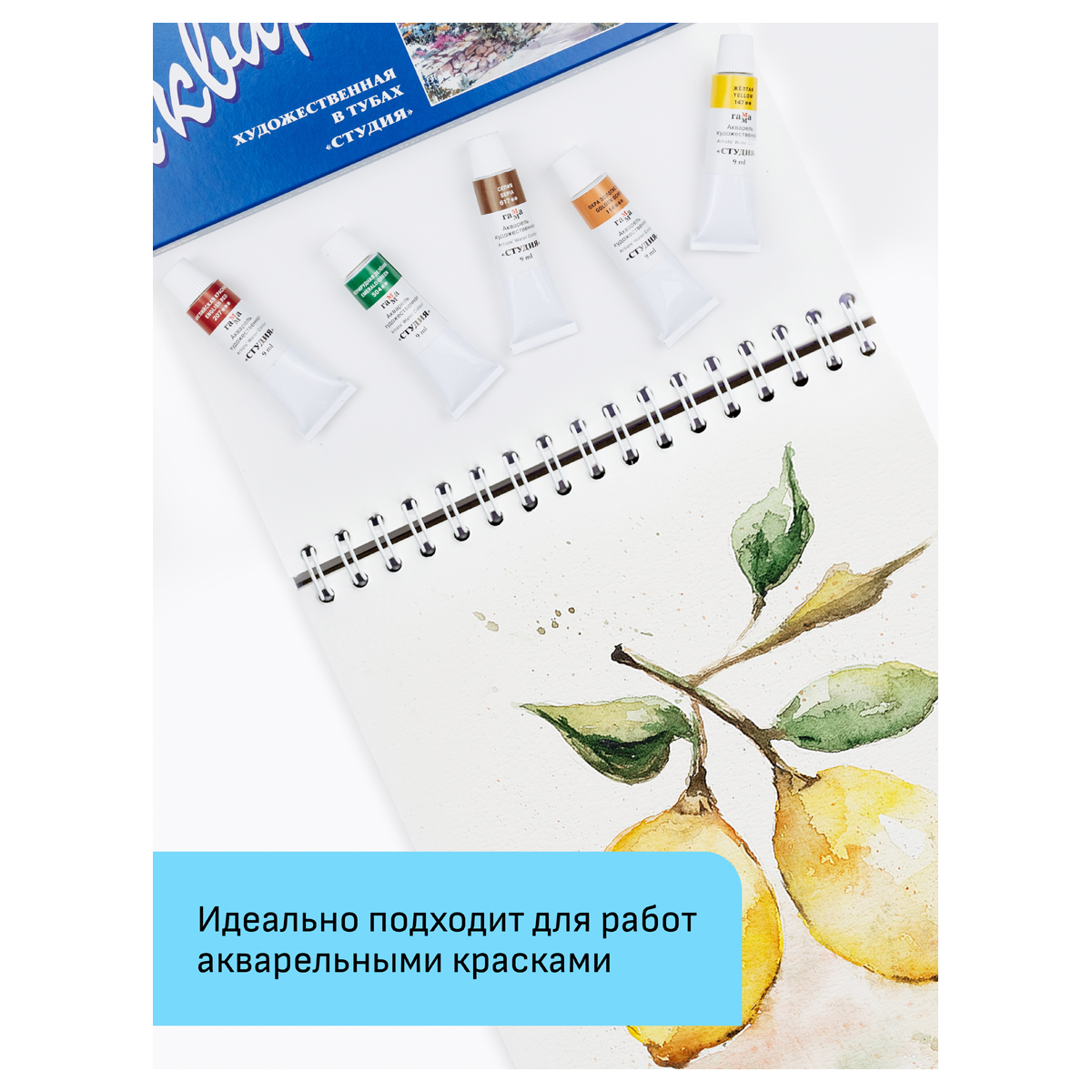 Альбом для акварели, 24л., А5, на спирали Гамма "Студия", 200г/м2, среднее зерно