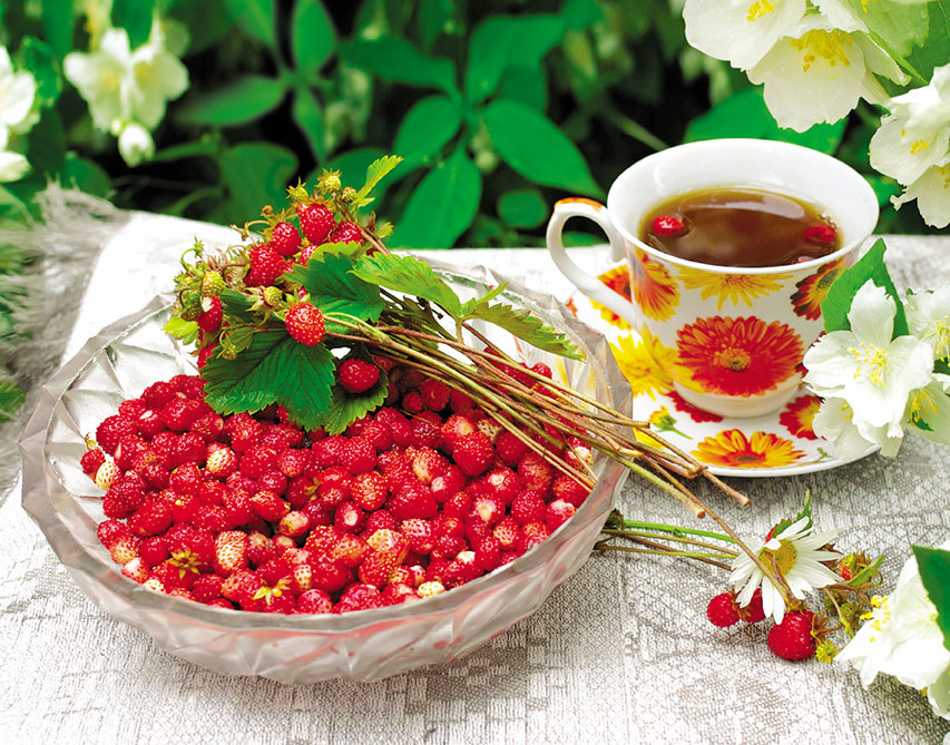 Календарь Трио 295*720мм на 2026г. Земляничный рай