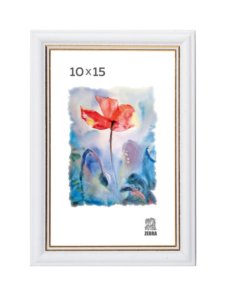 Фоторамка пластик 10*15 100 Зебра 161879