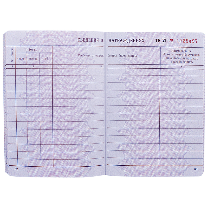 Трудовая книжка_1