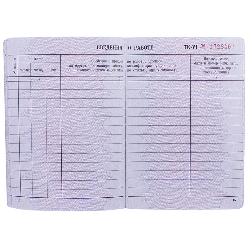 Трудовая книжка_2