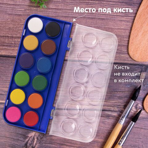 Краски аквар. BRAUBERG "PREMIUM" 12 цв, кюветы 28мм, пенал_10