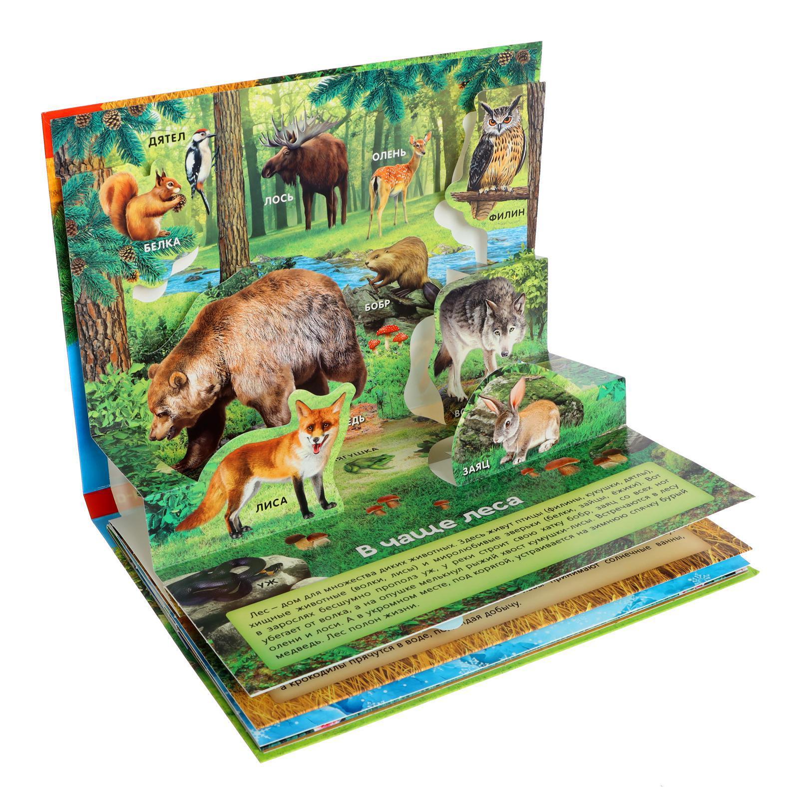 Книга-панорамка 3D "Мир животных" 12 стр 5453915_1