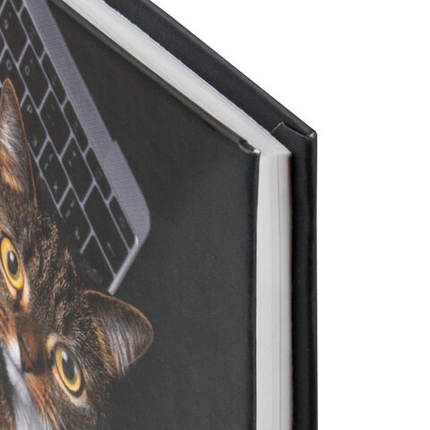 Блокнот А5 (135х206 мм), 80 л., твердый, клетка, STAFF, "Милый котик"_1