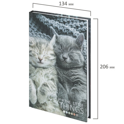 Блокнот А5 (134х206 мм), 80 л., твёрдый, клетка, STAFF, "Котики"_2