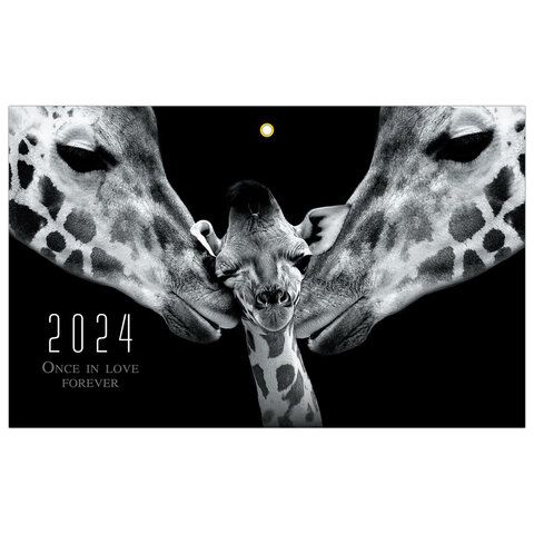 Календарь кварт. 2024 г., 3 блока, с бегунком, "Нежность"_5