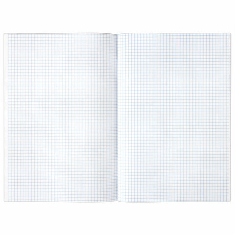 Книга учета 96 л., клетка, обложка из мелованного картона, блок офсет, А4_1