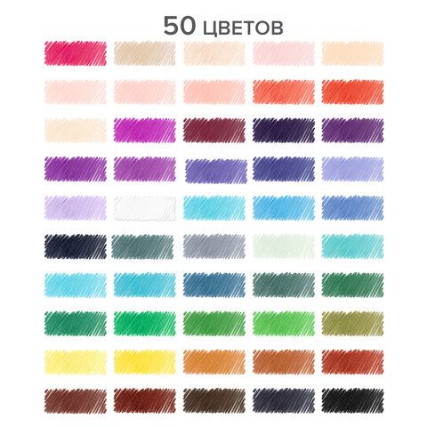 Карандаши цветные супермягкие яркие трехгранные BRAUBERG MAX, 50 цветов, грифель мягкий 3,3 мм_2