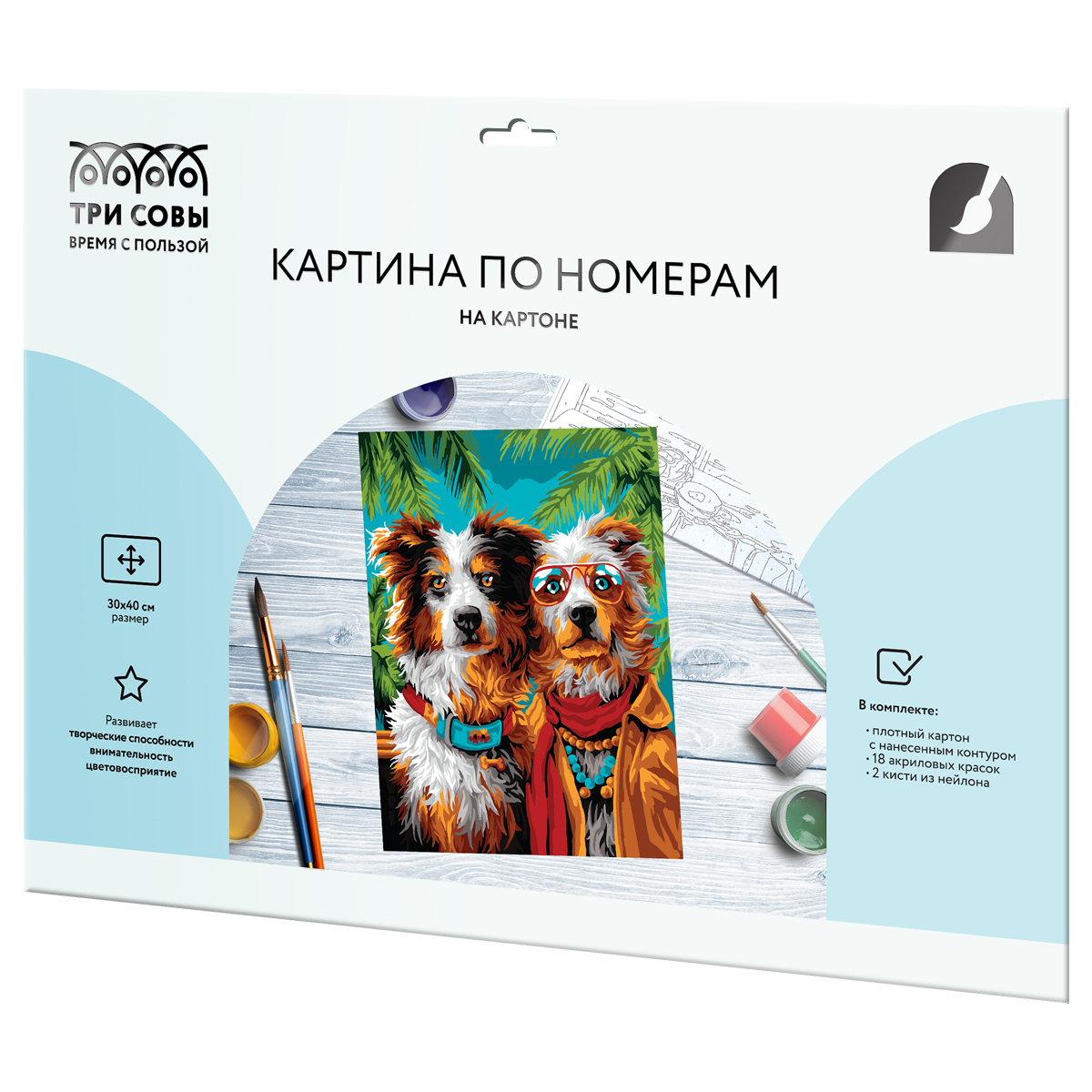 Картина по номерам на картоне ТРИ СОВЫ "Аусси под пальмами", 30*40, с акриловыми красками и кистями_1