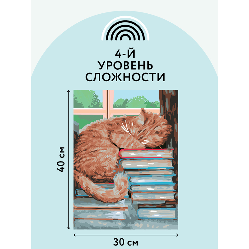 Картина по номерам на холсте ТРИ СОВЫ "Дневной сон", 30*40, с акриловыми красками и кистями_1