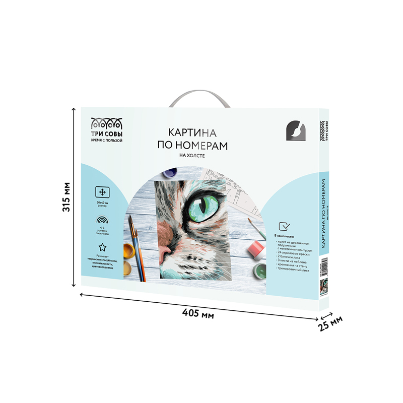 Картина по номерам на холсте ТРИ СОВЫ "Кошачий взгляд", 30*40, с акриловыми красками и кистями_1