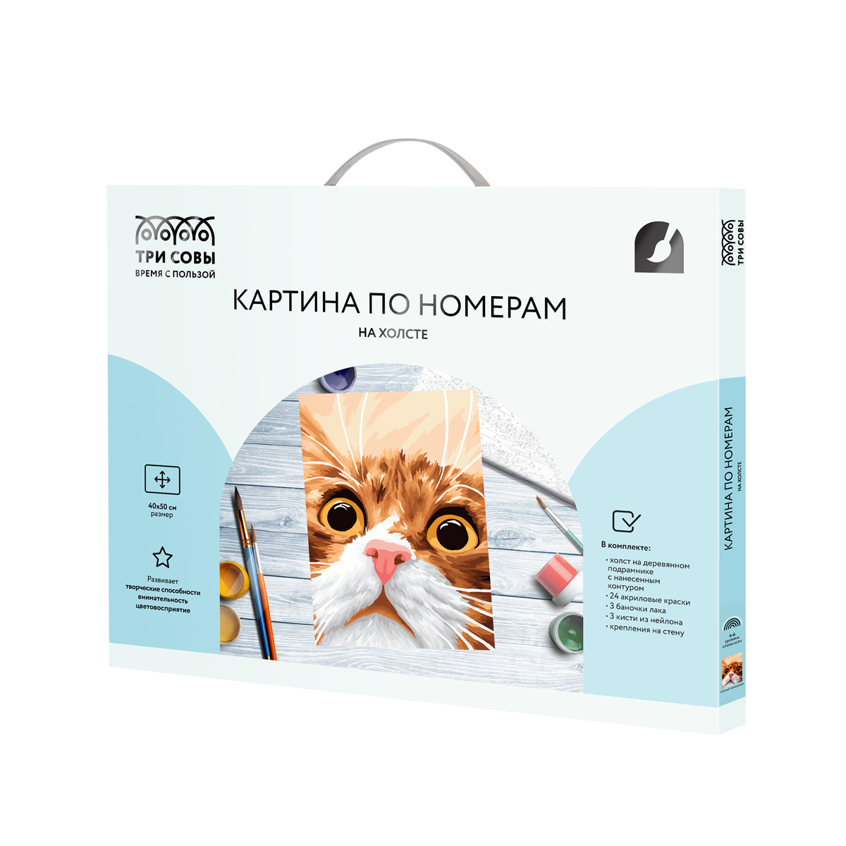 Картина по номерам на холсте ТРИ СОВЫ "Усатый-полосатый", 40*50, с акриловыми красками и кистями_1