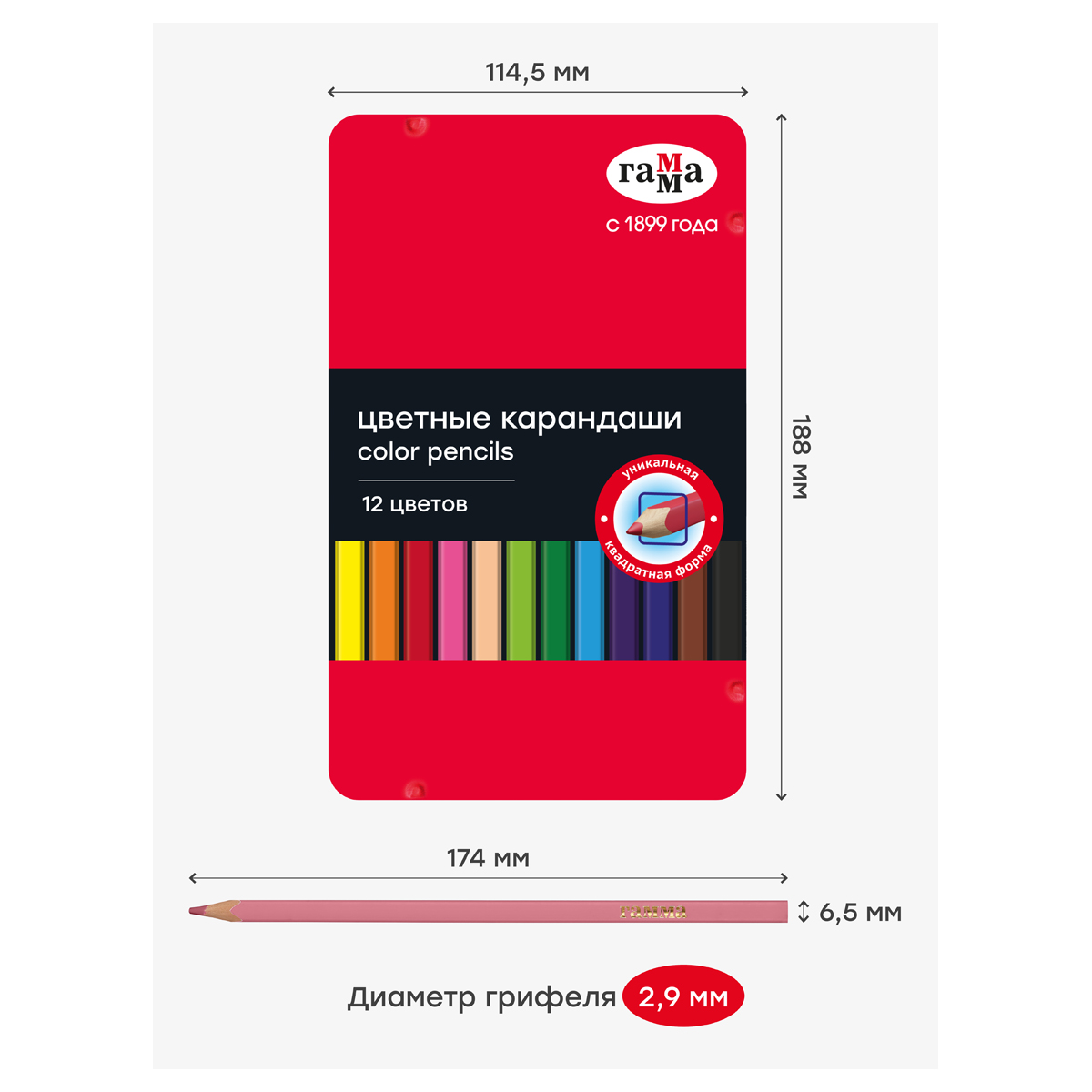 Карандаши цветные Гамма, 12цв., квадратные, заточен., метал. пенал_3