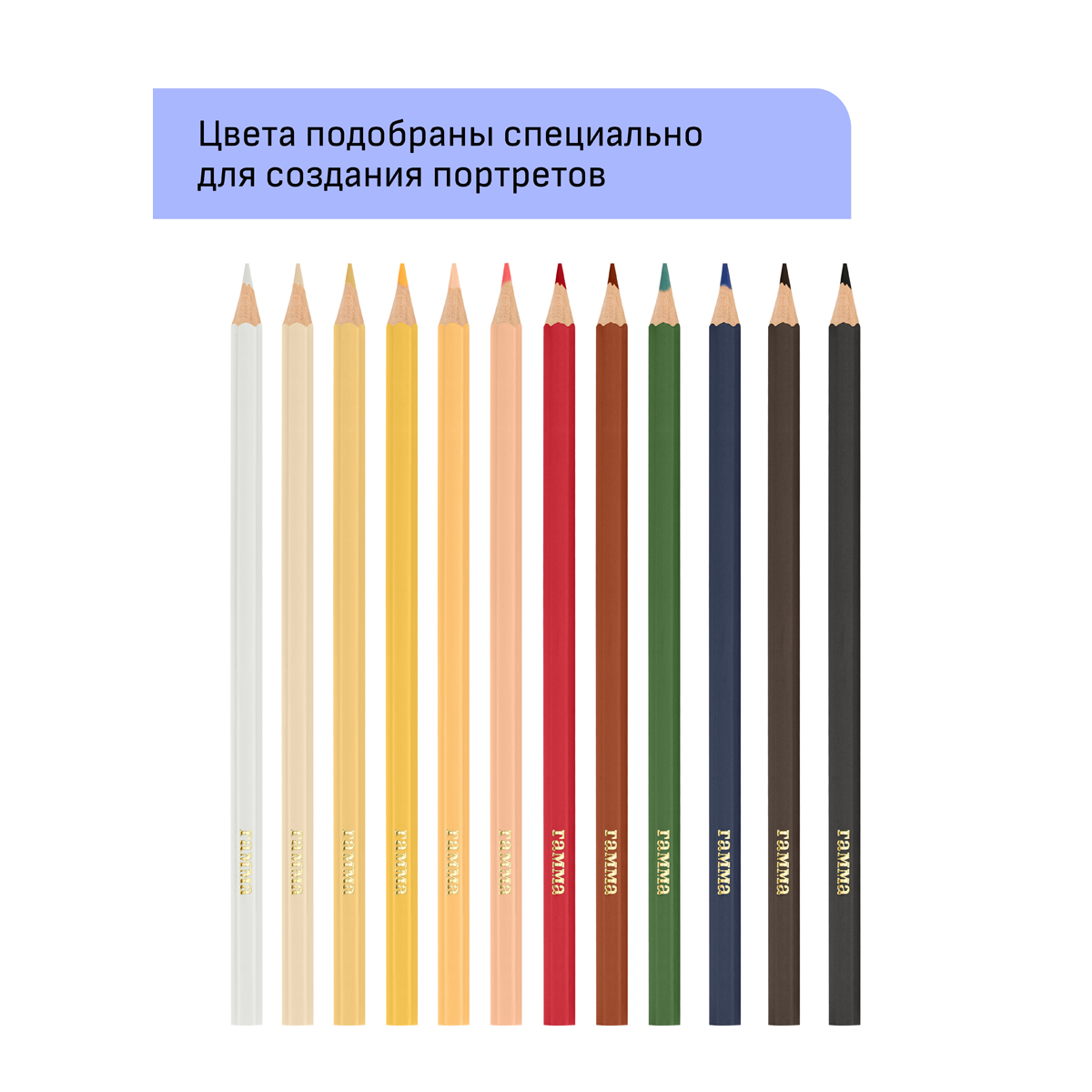 Карандаши цветные Гамма "Хобби. Портрет", 12цв., заточен., ПВХ, европодвес_1