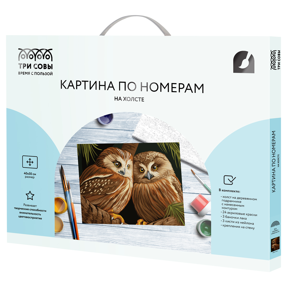 Картина по номерам на холсте ТРИ СОВЫ "Две совы", 40*50_1