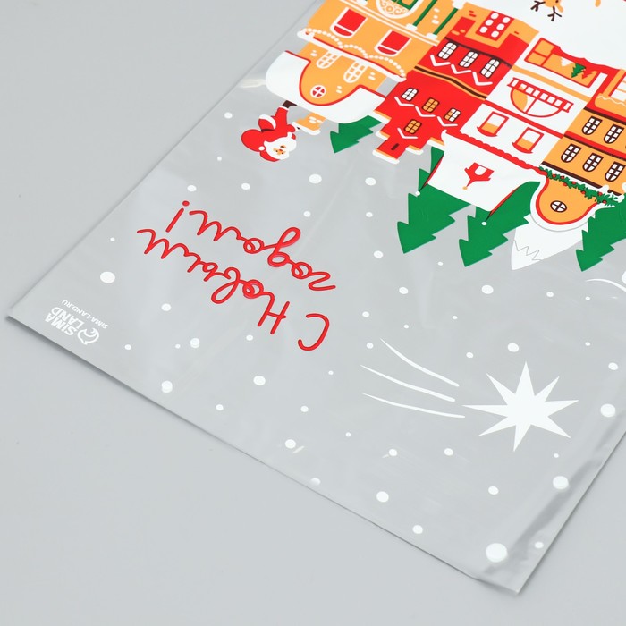 Пакет пластиковый «С праздником», 20 × 30 см     9631286_1