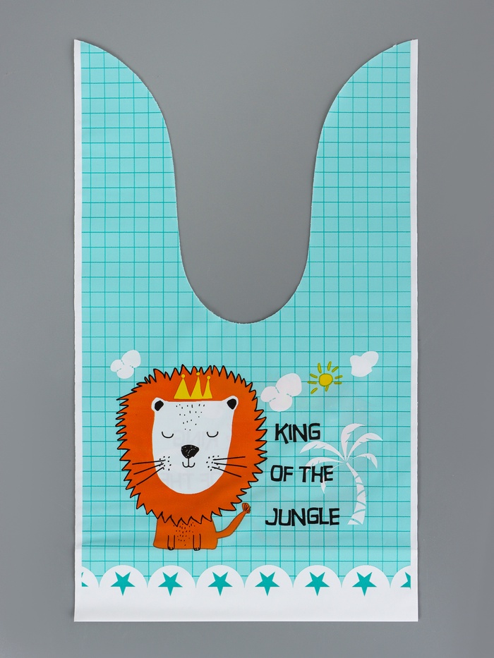 Пакет полиэтиленовый подарочный с ушками «Победитель по жизни», 13×23 см_1